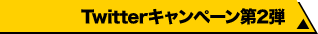Twitterキャンペーン第2弾