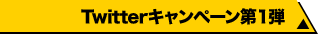 Twitterキャンペーン第1弾